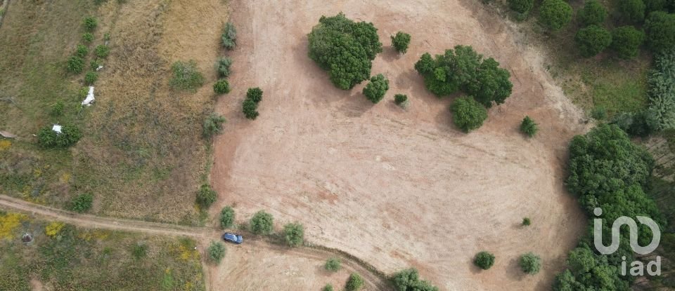 Terreno em Peral de 11 760 m²