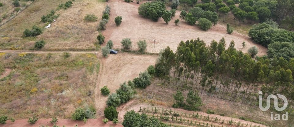 Terreno em Peral de 11 760 m²