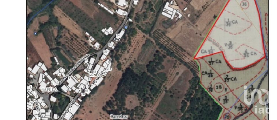 Terreno em Peral de 11 760 m²