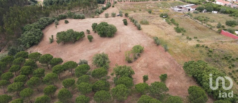 Terreno em Peral de 11 760 m²