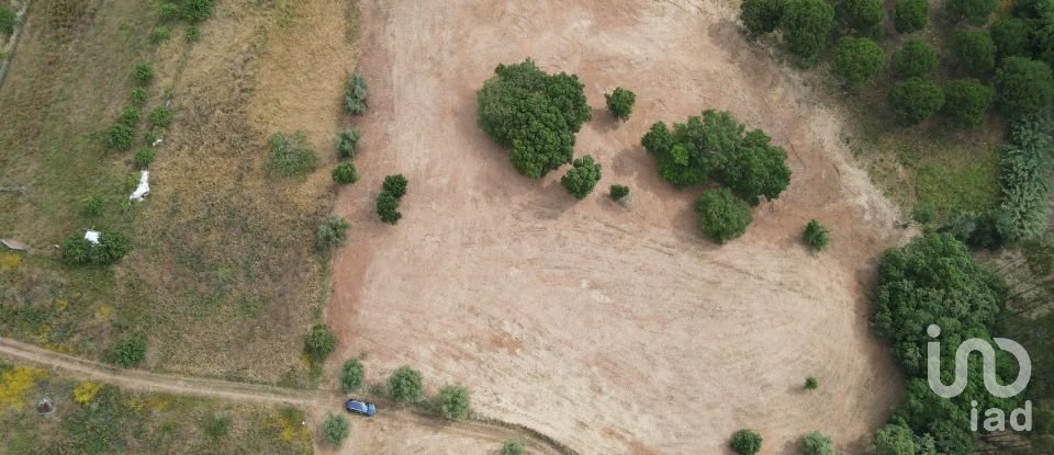 Terreno em Peral de 11 760 m²