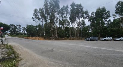 Terrain à Loureiro de 8 130 m²