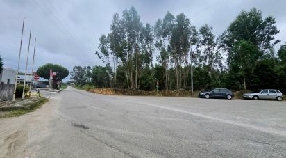 Terrain à Loureiro de 8 130 m²