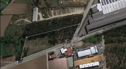 Terrain à Loureiro de 8 130 m²