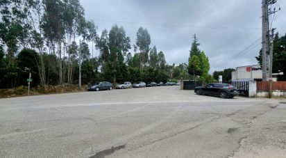 Terrain à Loureiro de 8 130 m²