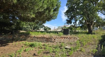 Terrain à Ericeira de 3 032 m²