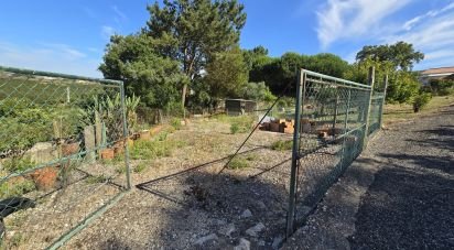 Terrain à Ericeira de 3 032 m²