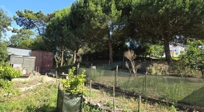 Terrain à Ericeira de 3 032 m²
