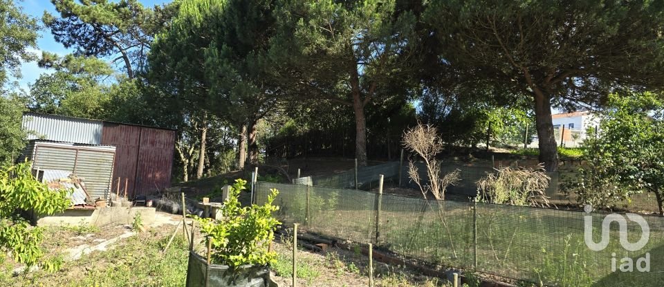 Terreno em Ericeira de 3 032 m²