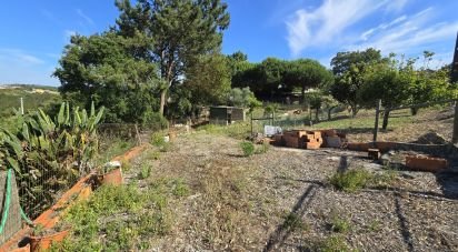 Terrain à Ericeira de 3 032 m²