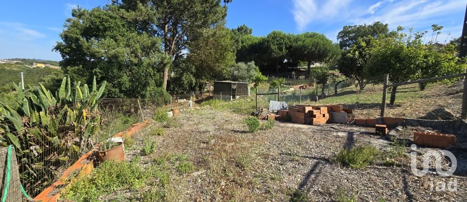 Terreno em Ericeira de 3 032 m²