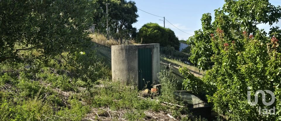 Terreno em Ericeira de 3 032 m²