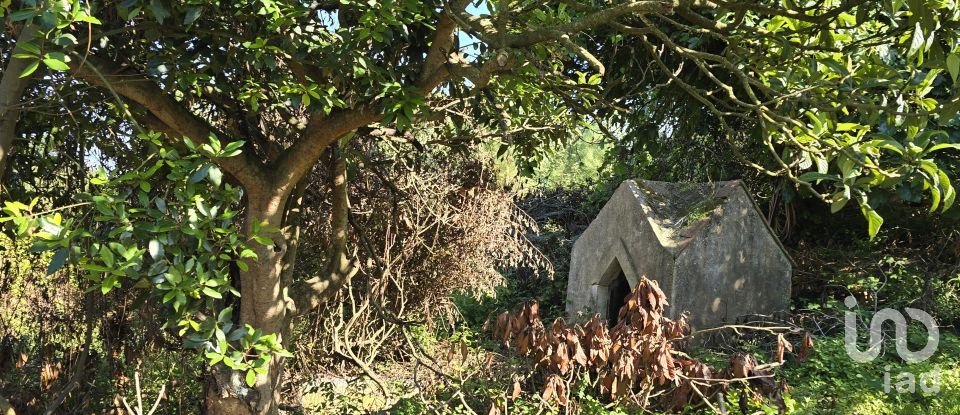 Terreno em Ericeira de 3 032 m²