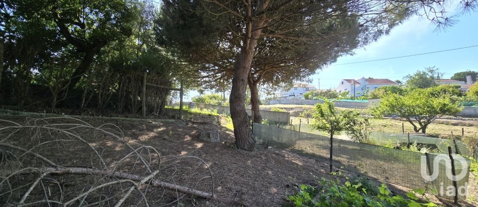 Terreno em Ericeira de 3 032 m²