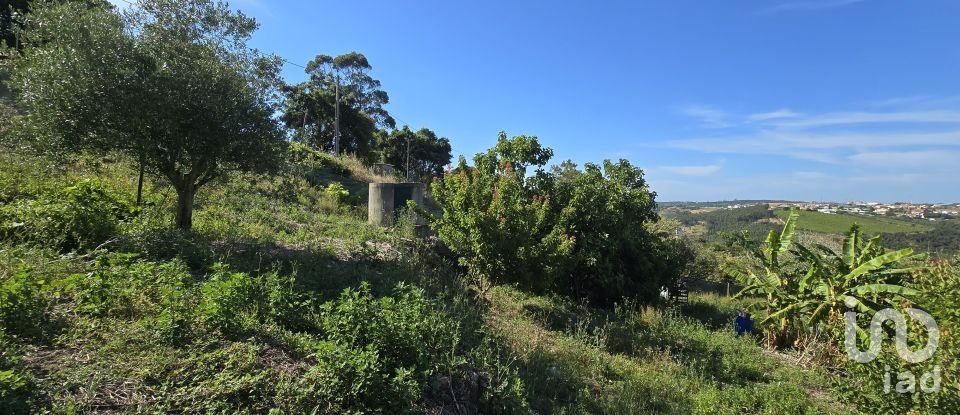 Terreno em Ericeira de 3 032 m²