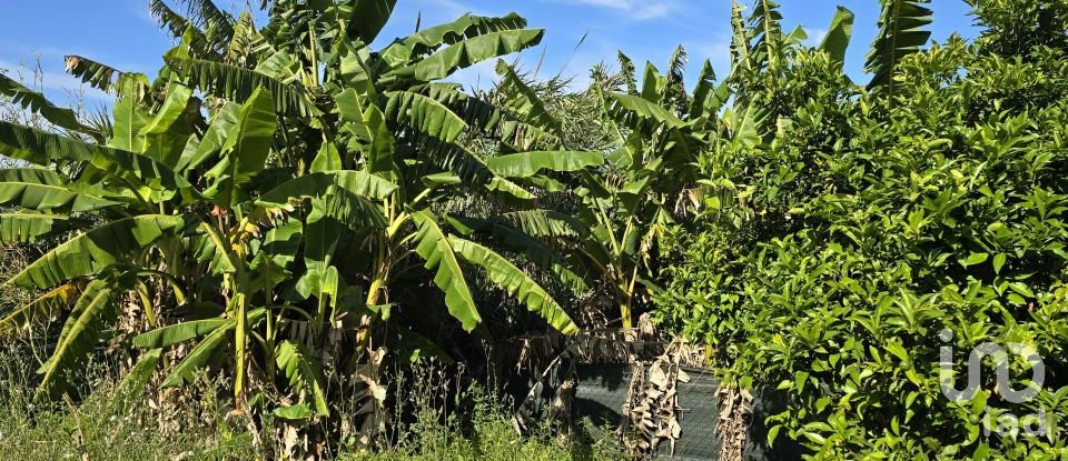 Terreno em Ericeira de 3 032 m²