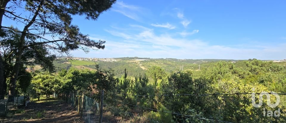 Terreno em Ericeira de 3 032 m²