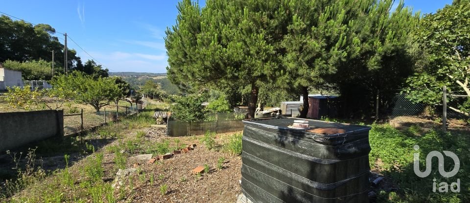 Terreno em Ericeira de 3 032 m²