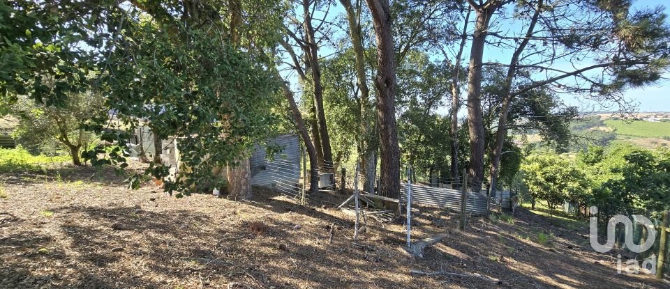 Terreno em Ericeira de 3 032 m²