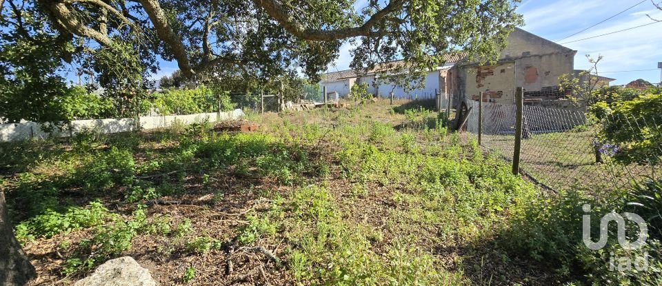Terreno em Ericeira de 3 032 m²