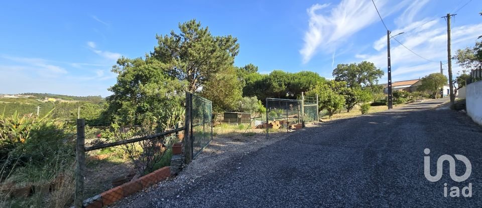 Terreno em Ericeira de 3 032 m²