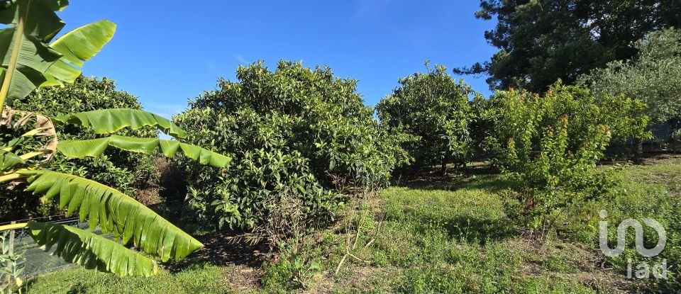 Terreno em Ericeira de 3 032 m²