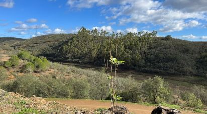 Maison de village T3 à São Bartolomeu de Messines de 122 m²