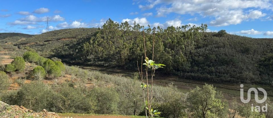 Village house T3 in São Bartolomeu de Messines of 122 m²