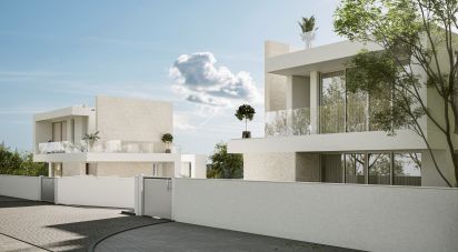 Terrain à Cela de 3 247 m²