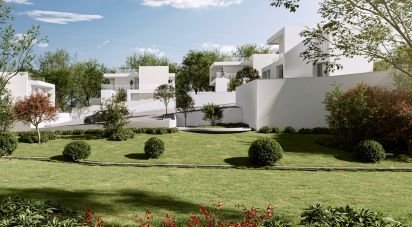 Terrain à Cela de 3 247 m²