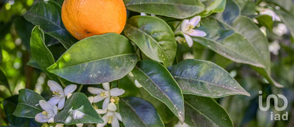 Gîte T2 à Santa Comba Dão e Couto do Mosteiro de 115 m²