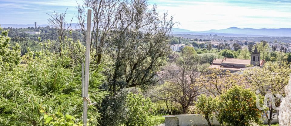 Gîte T2 à Santa Comba Dão e Couto do Mosteiro de 115 m²