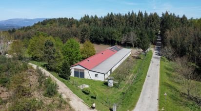 Boutique/Local commercial à Moledo de 700 m²