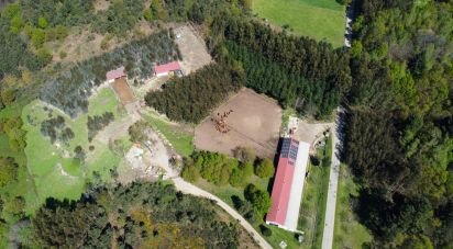 Boutique/Local commercial à Moledo de 700 m²