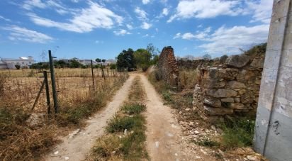 Land in Luz de Tavira e Santo Estêvão of 4,200 m²