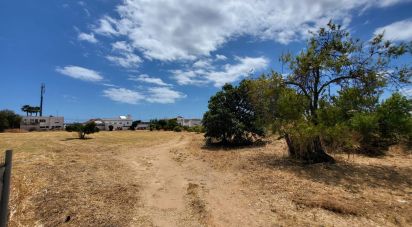Land in Luz de Tavira e Santo Estêvão of 4,200 m²