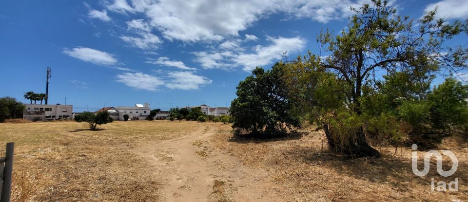 Land in Luz de Tavira e Santo Estêvão of 4,200 m²