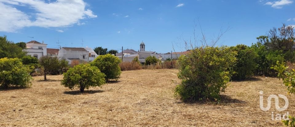 Land in Luz de Tavira e Santo Estêvão of 4,200 m²