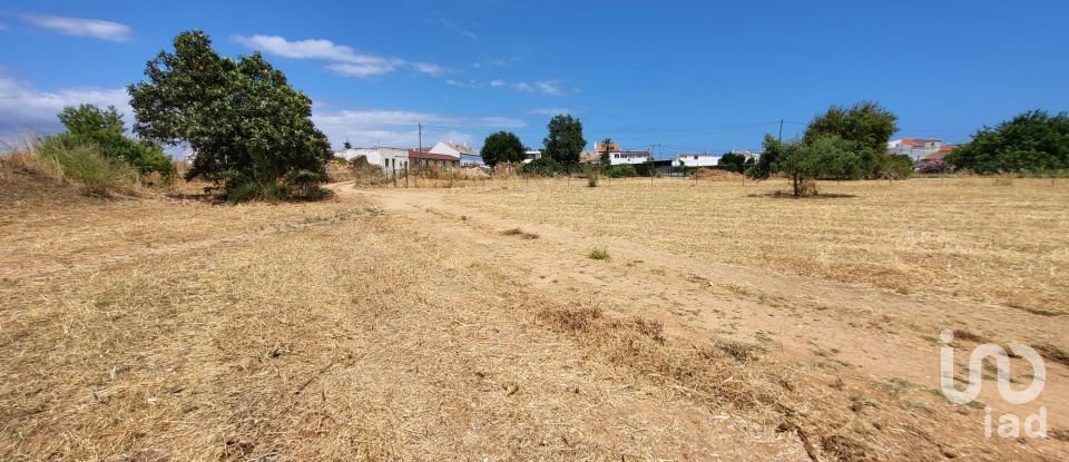 Land in Luz de Tavira e Santo Estêvão of 4,200 m²