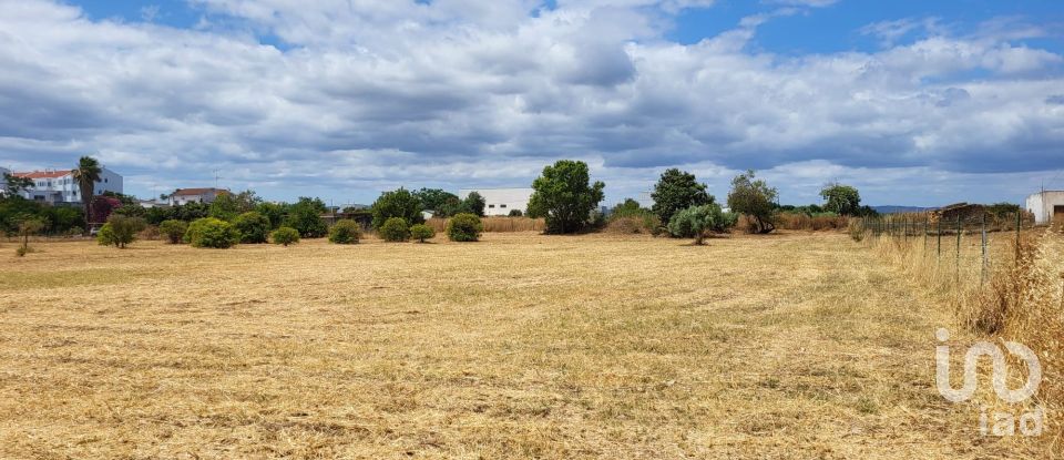 Land in Luz de Tavira e Santo Estêvão of 4,200 m²