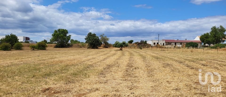 Land in Luz de Tavira e Santo Estêvão of 4,200 m²