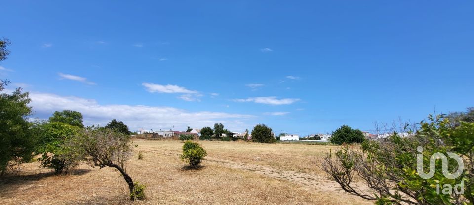Land in Luz de Tavira e Santo Estêvão of 4,200 m²