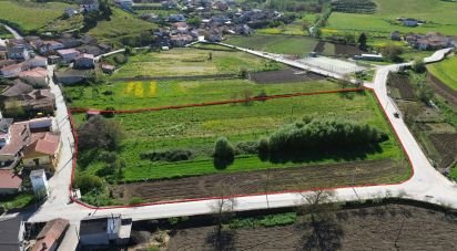 Land in Veiga de Lila of 8,990 m²
