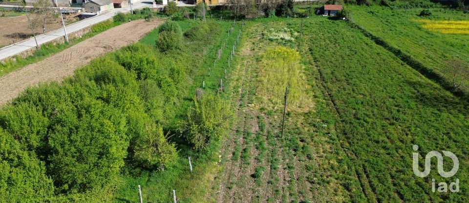 Land in Veiga de Lila of 8,990 m²