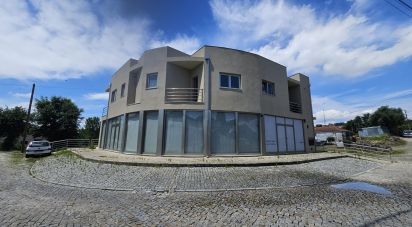 Bâtiment à Lordelo de 493 m²