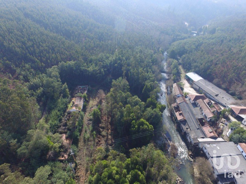 Terreno em Pinheiro da Bemposta, Travanca e Palmaz de 20 500 m²
