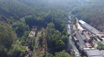 Terrain à Pinheiro da Bemposta, Travanca e Palmaz de 20 500 m²