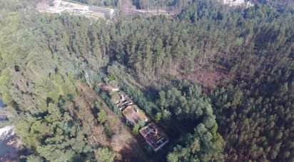 Terrain à Pinheiro da Bemposta, Travanca e Palmaz de 20 500 m²