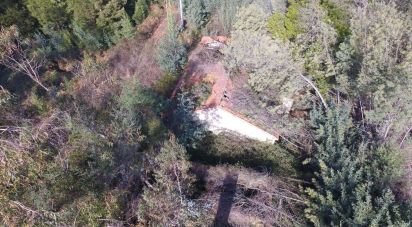 Terrain à Pinheiro da Bemposta, Travanca e Palmaz de 20 500 m²