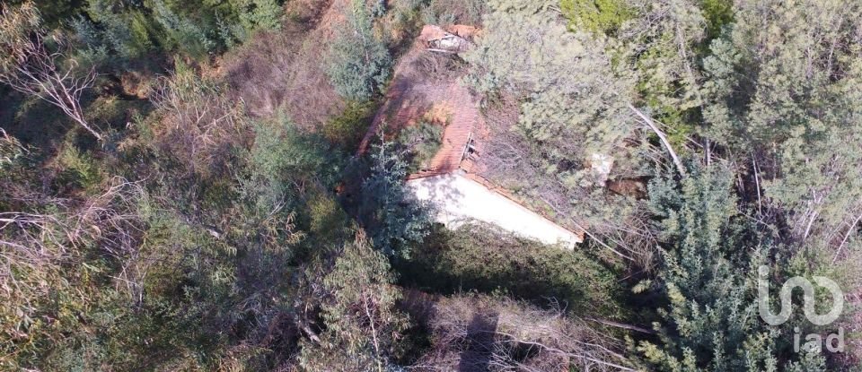 Terreno em Pinheiro da Bemposta, Travanca e Palmaz de 20 500 m²